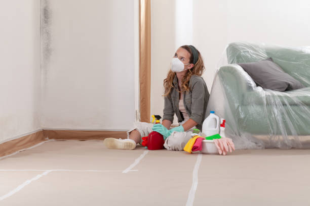 Trusted Mold Inspection service in Fort Eustis, VA - WQB Mold Removal